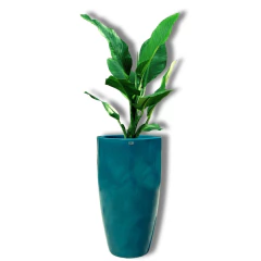 Vaso Agata 33 (23L) Cor Verde Vietnamita JAPI - Cultiv.me