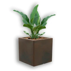 Vaso Cubo (20x20) Cor Antique Rusty VASART na internet