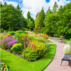 Sementes de Grama para Jardim (Folha Fina) Blueline TOPSEED - loja online