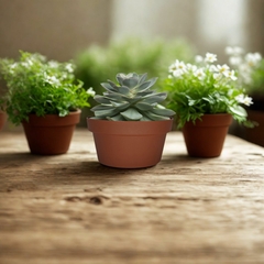 Vaso Cuia Bari Eco (12x6) Cor Terracota OKLA - loja online