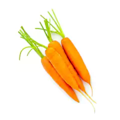 Imagem do Sementes de Cenoura Baby Blueline TOPSEED