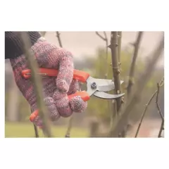 KIT Poda (Serrote Dobrável + Tesoura) na internet