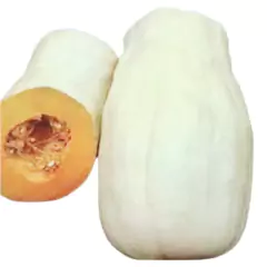 Imagem do Sementes de Abobora Nova Caravela Super ISLA