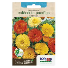 Sementes de Calêndula Pacífica (Sortidas) TOPSEED