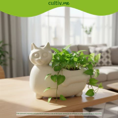 Vaso Mascote Gato 24 Cor Cimento NUTRIPLAN - Cultiv.me