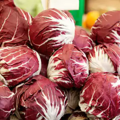 Sementes de Chicória Palla Rossa Precoce Blueline TOPSEED - comprar online