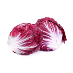 Sementes de Chicória Palla Rossa Precoce Blueline TOPSEED - Cultiv.me