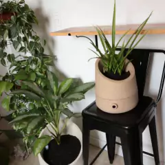 Imagem do Vaso Autoirrigável Copo de Leite M (22X25) Cor Basalto BROTA