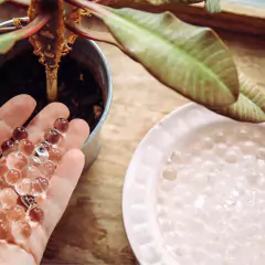 Bolinhas de Gel Incolor para Plantas TOP GARDEN na internet