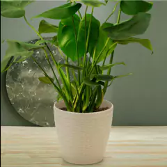 Imagem do Vaso Rattan Redondo Médio (10L) Palha INJEPLASTEC