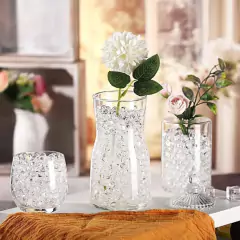 Imagem do Bolinhas de Gel Incolor para Plantas TOP GARDEN