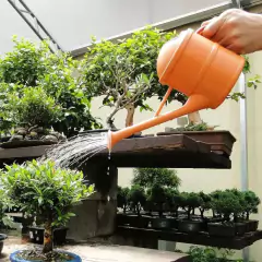 Regador de Plástico Bico Chuveiro (1,5L) Laranja OKLA na internet