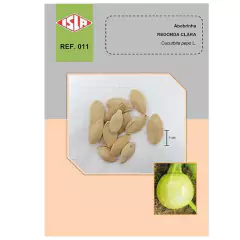 Sementes de Abobrinha Clara Redonda Super ISLA - comprar online