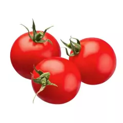 Sementes de Tomate Paulista Santa Clara FELTRIN - Cultiv.me