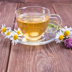 Sementes de Camomila Verdadeira/Maçanilha ISLA na internet