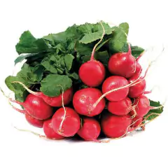 Sementes de Cravina Gaiety (Sortida) TOPSEED - Cultiv.me