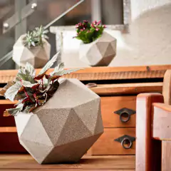 Vaso Quartzo 22 (8L) Cor Granito NUTRIPLAN - loja online