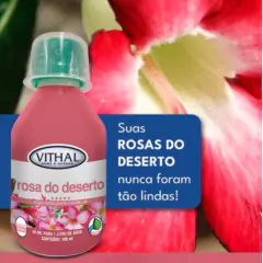 Fertilizante Concentrado Rosa do Deserto (100ml) VITHAL na internet