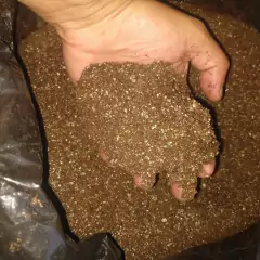 Substrato para Plantas (45L) CAROLINA SOIL - comprar online