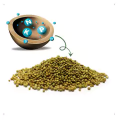 Fertilizante COTE NPK 15-09-12+ Micronutrientes (150g) FORTH - comprar online