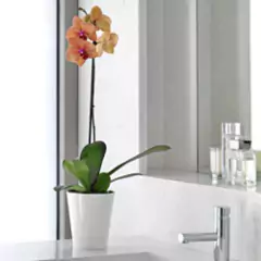 Vaso Orquídea (12x15cm) Branco VASART - comprar online