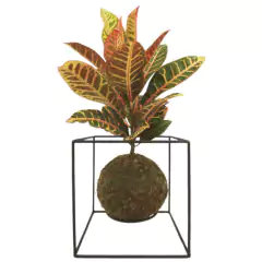 Imagem do Suporte Cubo M para Kokedama (20X15X15) Preto JC JARDIM