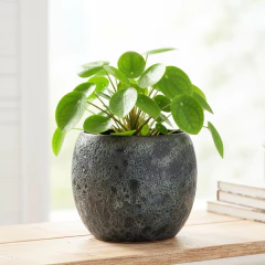 Vaso Cerâmica Rústica (15) Rocha Vulcânica BURGUINA