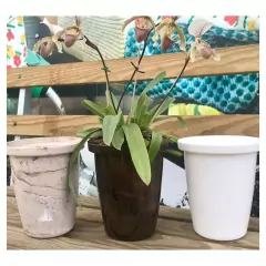 Cachepô Elegance Cônico Cymbidium (3,25L) Branco NUTRIPLAN na internet