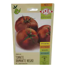 Sementes Tomate Diamante Negro ISLA