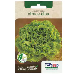 Sementes de Alface Crespa Elba TOPSEED