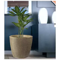 Vaso Treccia Redondo 24 (8,5L) Envelhecido NUTRIPLAN - loja online