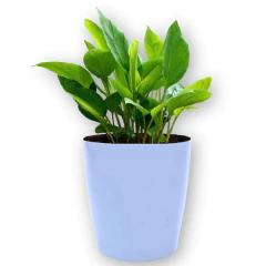 Imagem do Vaso Cachepot Orquídea (12x15) Azul Vintage VASART