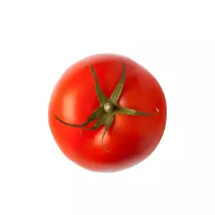 Sementes de Tomate Paulista Santa Clara FELTRIN na internet
