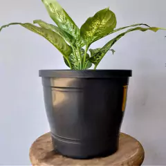 Vaso primavera Nº3 preto (3L) NUTRIPLAN na internet