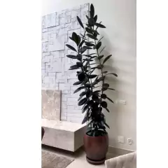 Tutor de Metal para Planta (60cm) TOP GARDEN - loja online