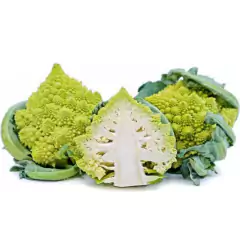 Sementes de Couve-Brócolis Romanesco Ottobrino ISLA