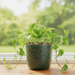 Vaso Cerâmica Esmaltado Renda (12) Verde Caramelo BURGUINA