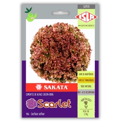 Semente Alface Crespa Roxa Scarlet Super ISLA