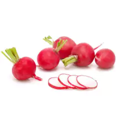 Sementes de Rabanete Cometo TOPSEED - loja online