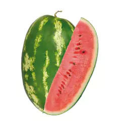 Sementes de Melancia Hibrida Crimson (50 Sementes) ISLA na internet