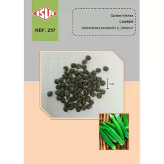 Sementes de Quiabo Hibrido Canindé (100 Sementes) ISLA - comprar online