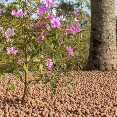 Argila Expandida Media (1,2kg) VITAPLAN na internet