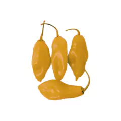 Sementes de Pimenta de Cheiro do Norte TOPSEED - Cultiv.me