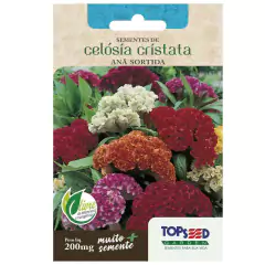 Sementes de Celósia Cristata Anã (Sortida) TOPSEED
