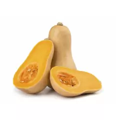 Sementes de Abóbora Menina Creme [Butternut] TOPSEED na internet