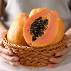 Sementes de Mamão Papaya Hawaii Super ISLA - Cultiv.me