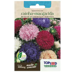 Sementes de Rainha Margarida Beauté D'Amerique TOPSEED