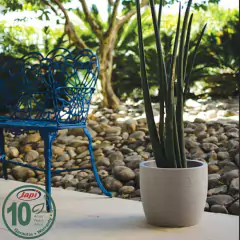 Vaso Europa Redondo 24 (6L) Cor Cimento JAPI - comprar online