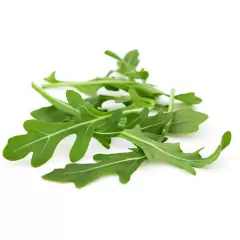 Sementes de Rúcula Selvática TOPSEED - loja online