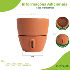 Vaso Cone Vietnamita (22x24) Cor Terracota BROTA - comprar online